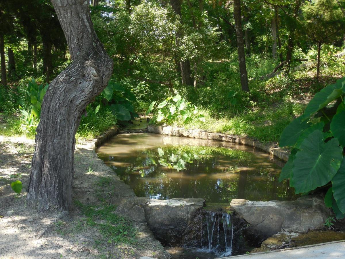 Dogwood Springs Lodgings Mineola المظهر الخارجي الصورة