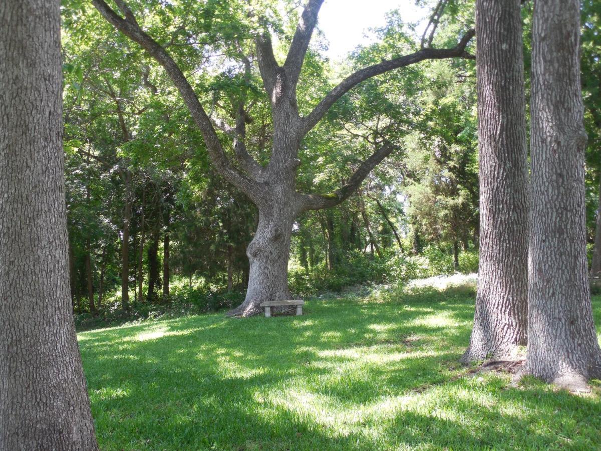 Dogwood Springs Lodgings Mineola المظهر الخارجي الصورة
