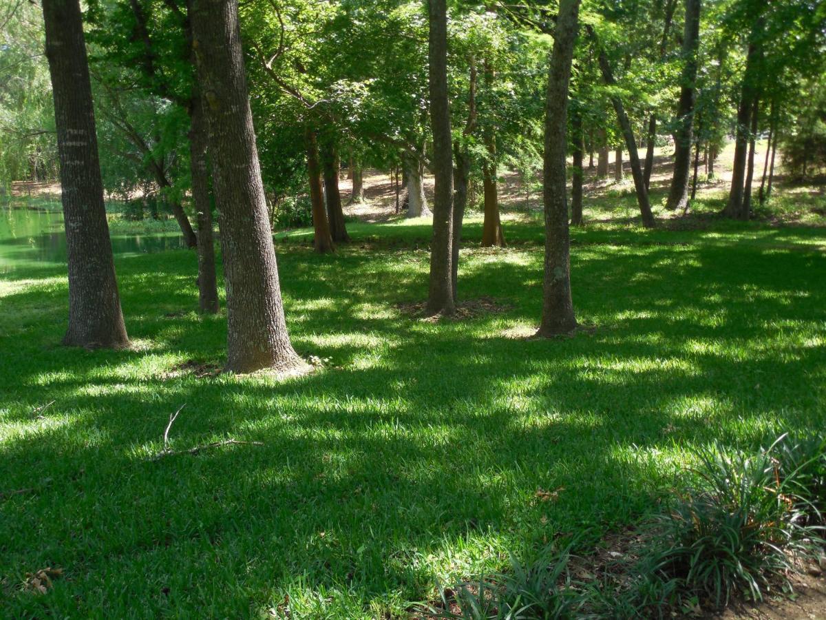 Dogwood Springs Lodgings Mineola المظهر الخارجي الصورة